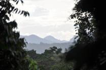 Montanhas ao longe, na reserva de Iwokrama, na Guiana